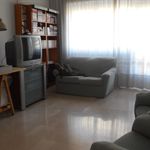 Rent 4 bedroom student apartment of 120 m² in Roma