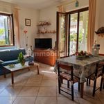 Rent 5 bedroom house of 110 m² in Camaiore
