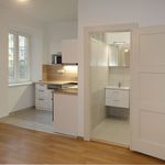 Rent 2 bedroom apartment of 68 m² in Decin