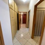 Affitto 4 camera appartamento di 100 m² in Messina