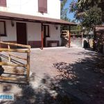 Rent 2 bedroom house of 60 m² in Castellabate