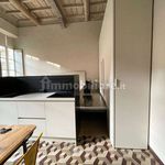 Rent 1 bedroom apartment of 40 m² in Mantova