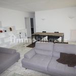 Rent 3 bedroom apartment of 88 m² in Novara