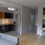 Rent 1 bedroom apartment of 65 m² in Poznan