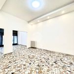 Rent 1 bedroom apartment of 64 m² in Mantova