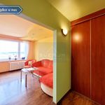 Rent 3 bedroom apartment of 64 m² in Częstochowa