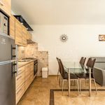 Rent 1 bedroom house of 55 m² in Klimkovice
