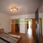 Rent 2 bedroom apartment of 91 m² in České Budějovice