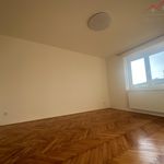 Rent 2 bedroom apartment of 55 m² in Chomutov