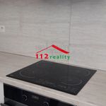 Rent 1 bedroom apartment of 400 m² in Jáchymov
