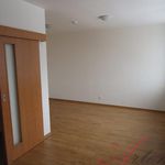 Rent 1 bedroom apartment of 36 m² in Těrlicko