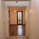 Rent 5 bedroom apartment of 100 m² in Padova