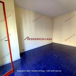 Rent 1 bedroom apartment of 39 m² in Palermo