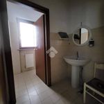 Affitto 1 camera appartamento di 150 m² in Ciriè