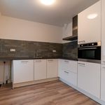 Rent 4 bedroom house of 78 m² in 's-Gravenhage