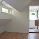 Rent 4 bedroom house of 190 m² in Velsen-Zuid