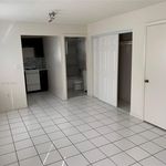 Rent 1 bedroom apartment of 41 m² in Miami Beach