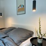 Rent 3 bedroom apartment of 65 m² in Dortmund