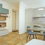 Rent 1 bedroom apartment of 45 m² in Vasastan