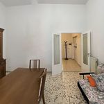 Rent 2 bedroom apartment of 105 m² in Palestrina
