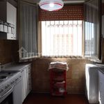 Affitto 4 camera appartamento di 100 m² in Porto Cesareo