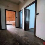 Rent 3 bedroom apartment of 73 m² in Genova