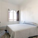 Rent 7 bedroom apartment in Granada