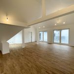 Rent 1 bedroom apartment of 165 m² in Aue-Bad Schlema
