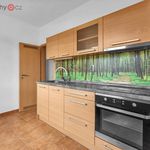 Pronajměte si 3 ložnic/e byt o rozloze 58 m² v Ústí nad Orlicí