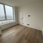 Rent 4 bedroom apartment in Karviná