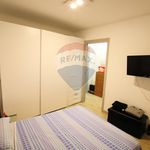 Rent 2 bedroom apartment of 50 m² in Garbagnate Milanese