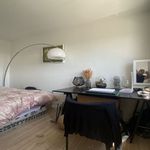  appartement avec 1 chambre(s) en location à Palaiseau