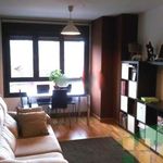 Alquilo 1 dormitorio apartamento de 45 m² en Gijón