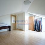 Rent 4 bedroom apartment in Szczecin