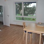 Rent 2 bedroom apartment of 47 m² in Angern an der March