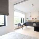 Rent 1 bedroom apartment of 45 m² in Vorst