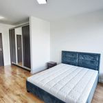 Rent 4 bedroom apartment of 134 m² in Kielce