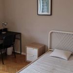 Rent a room of 90 m² in Lublin