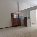 Rent 3 bedroom apartment of 50 m² in Manfredonia