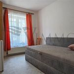 Rent 1 bedroom apartment of 16 m² in České Budějovice