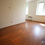 Rent 1 bedroom apartment of 38 m² in Těrlicko