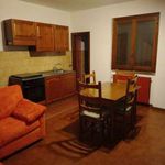Affitto 2 camera appartamento di 60 m² in Canonica d'Adda