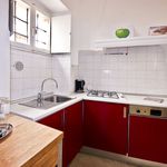 Rent 1 bedroom apartment of 45 m² in Firenze