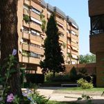 Rent 4 bedroom apartment of 150 m² in Madrid