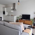 Rent 1 bedroom apartment in Turnhout