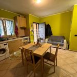 Affitto 1 camera appartamento di 30 m² in Pomezia