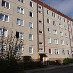 Rent 3 bedroom apartment of 62 m² in Cottbus