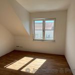 Miete 4 Schlafzimmer wohnung von 106 m² in Dresden