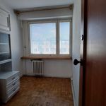 Wynajmij 3 sypialnię apartament z 48 m² w Bełchatów