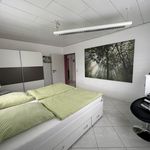 Rent 3 bedroom apartment of 65 m² in Stuttgart